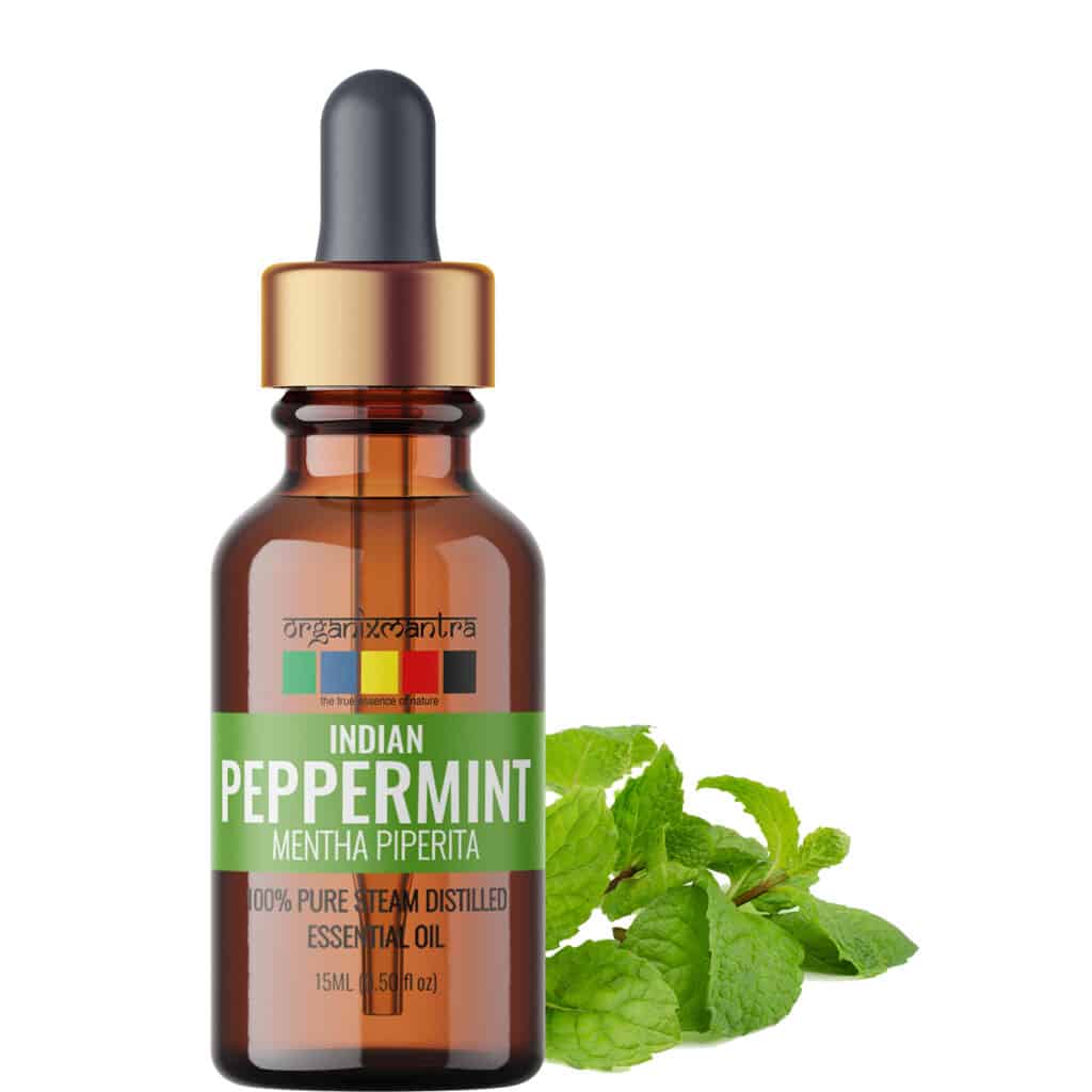 Indian Peppermint Essential Oil
