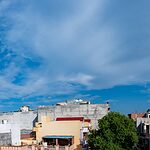 Non Pollutant Natural