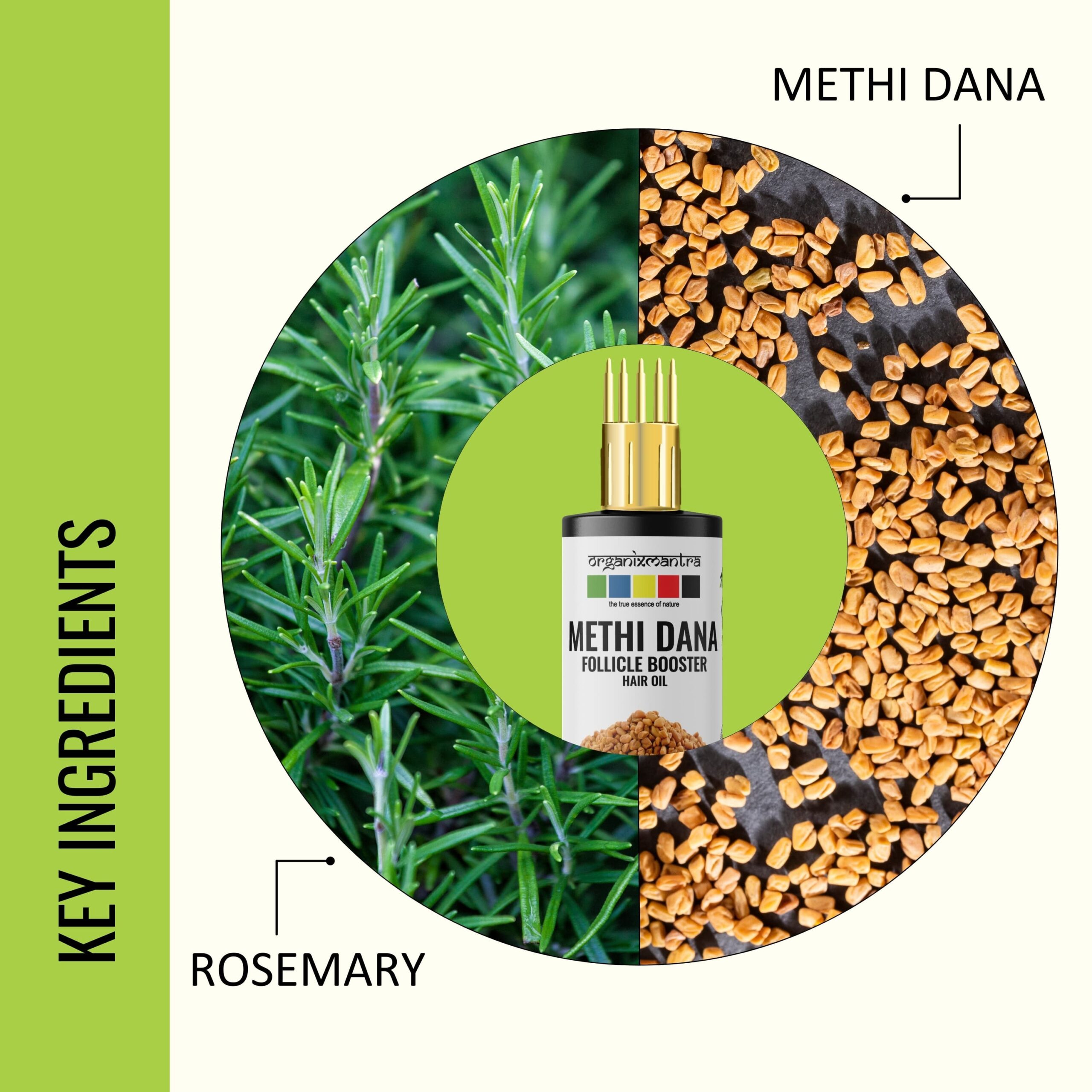 Rosemary Methi Dana Hair Oil 4 rosemary methi dana hair oil for strong hair