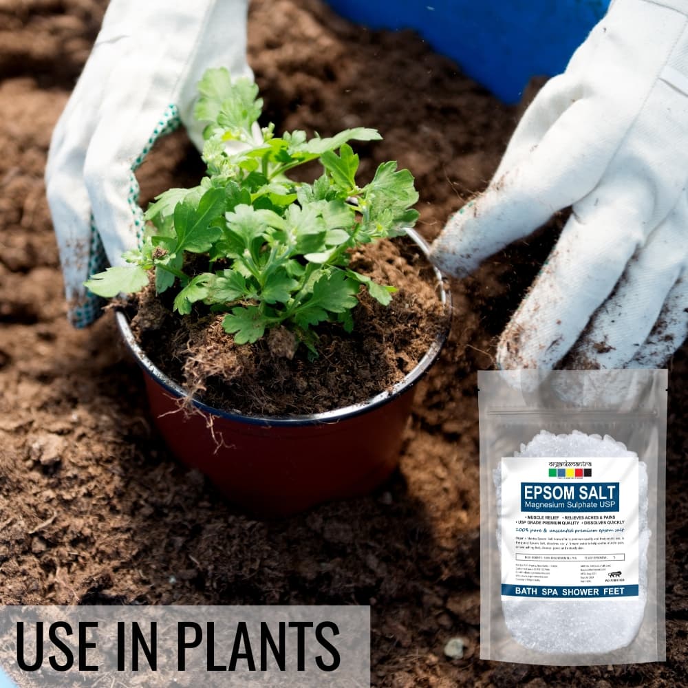 Epsom Salt for Relaxation and Pain Relief 7 epsom salt for plants