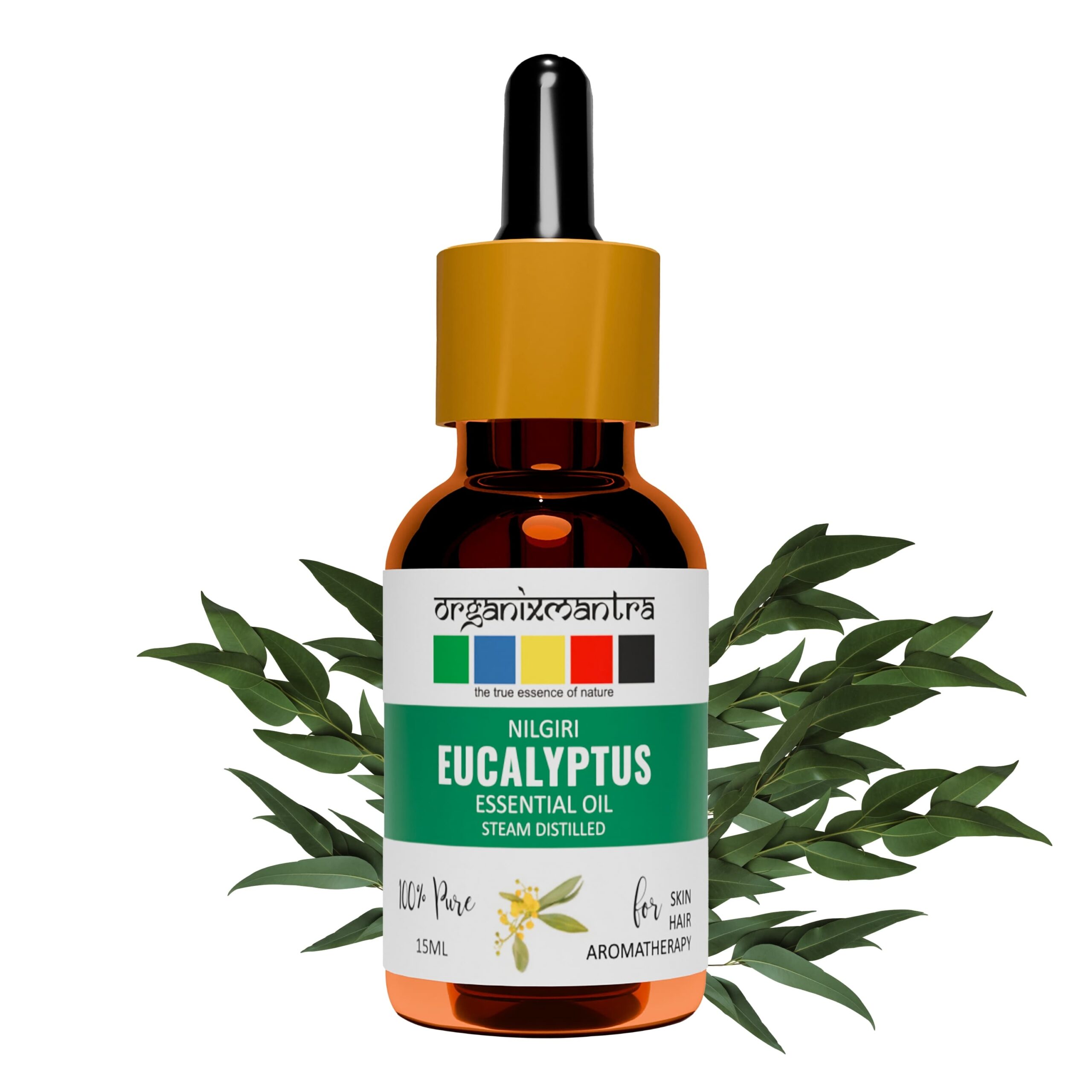 Nilgiri Eucalyptus Essential Oil 1 eucalyptus essential oil