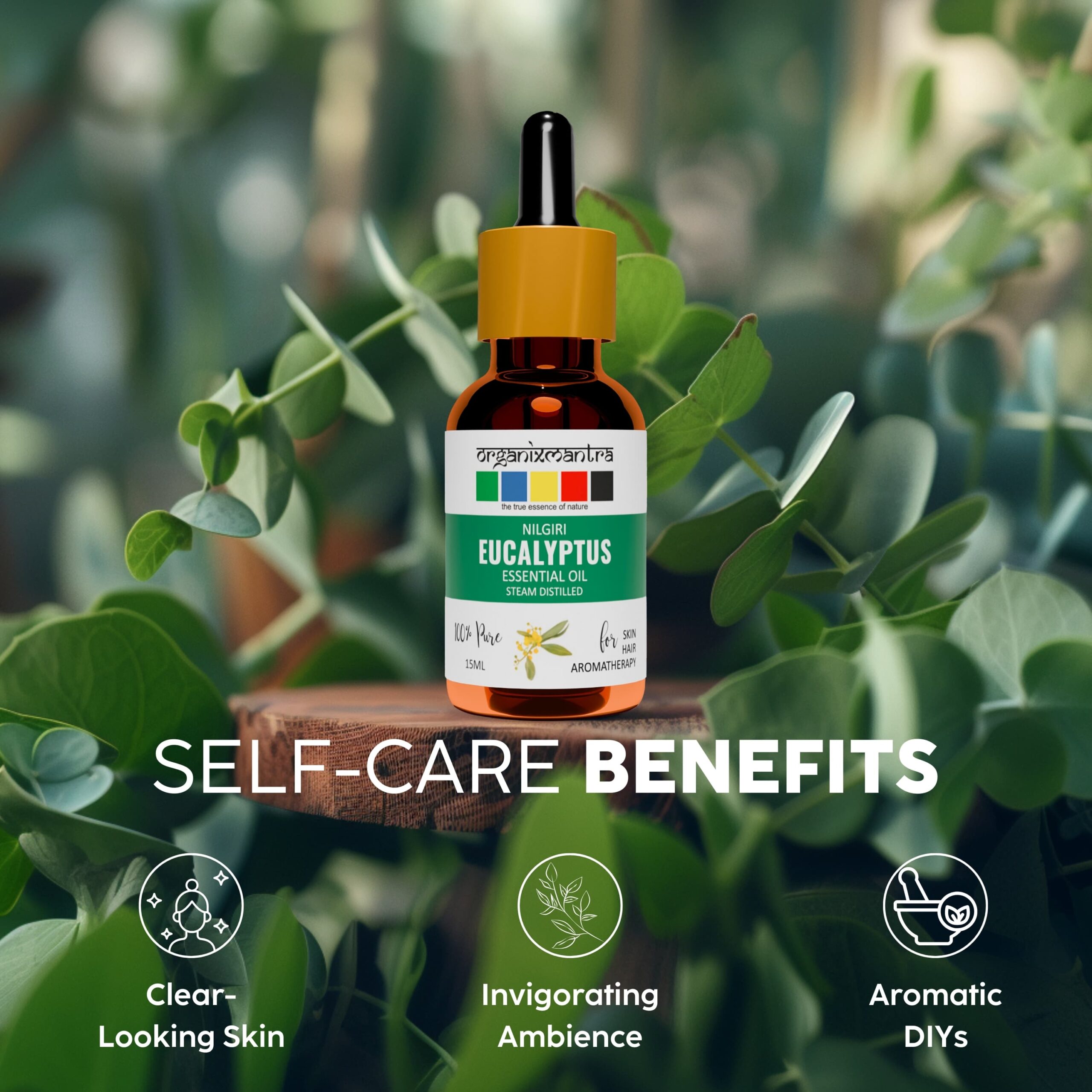 Nilgiri Eucalyptus Essential Oil 4 eucalyptus essential oil benefits