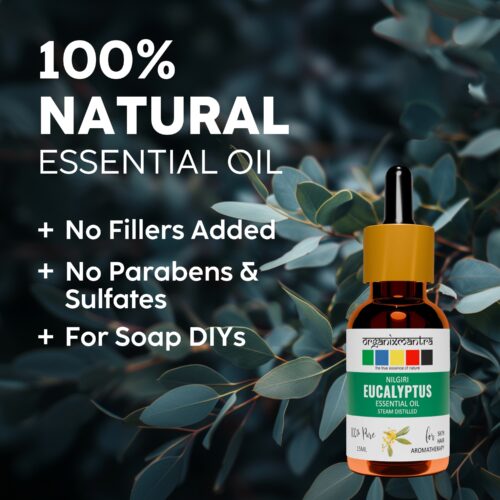 eucalyptus_essential_oil_uses_2 eucalyptus essential oil uses