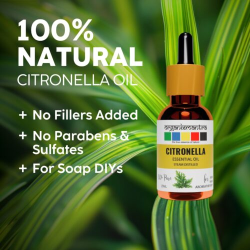 pure_citronella_essential_oil_2 pure citronella essential oil