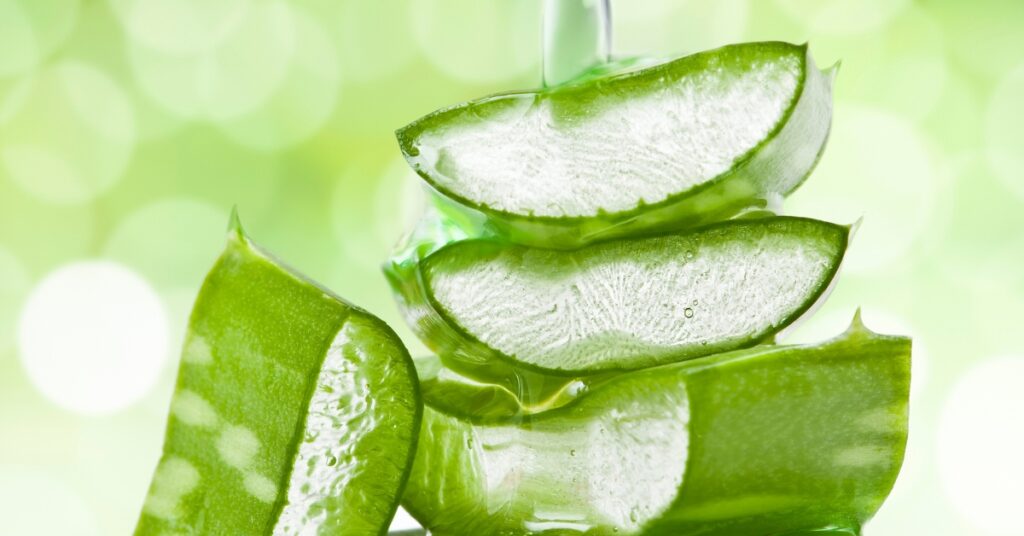 11 Ayurvedic Superstars for Modern Skin Issues 3 aloe vera extract for skin care