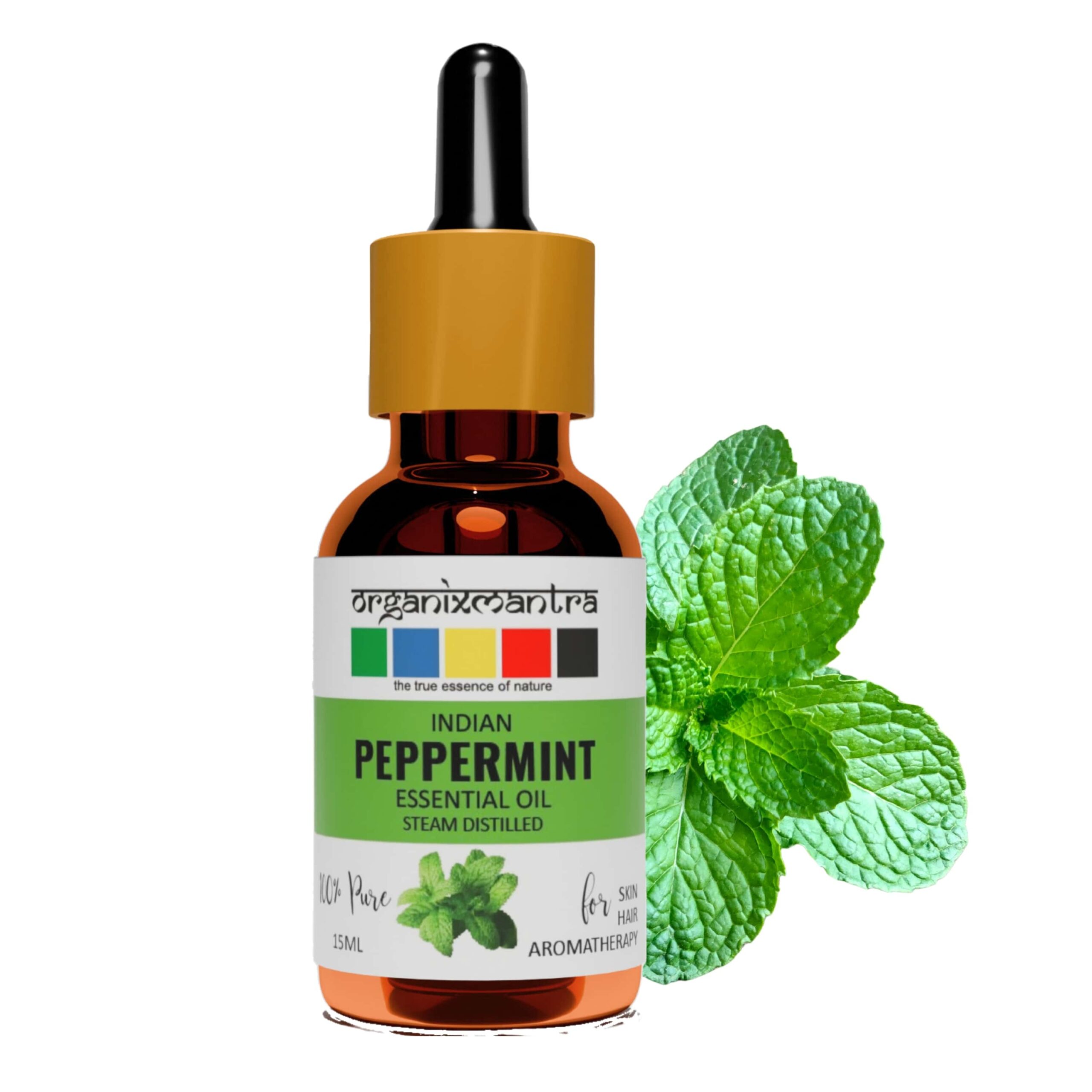 Indian Peppermint Essential Oil 1 peppermint essential oil